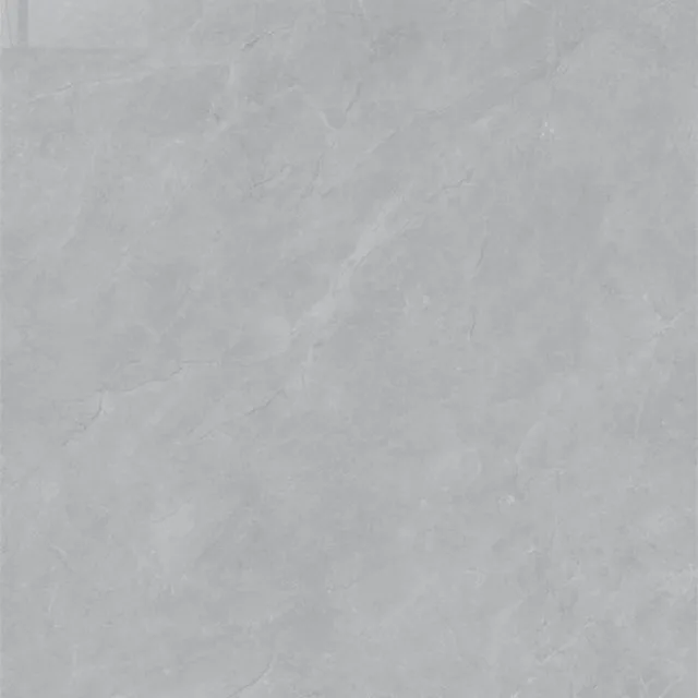 Azulejo cerámico Huaxingtao HXT612A012L | 600 × 1200 mm