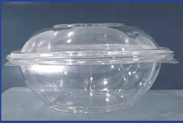 Saladeira transparente