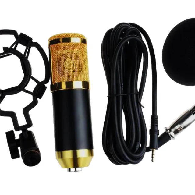 Condenser microphone BM-800